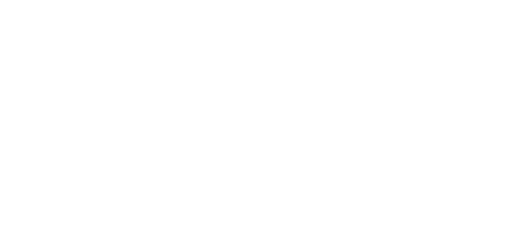 Logo Cintia Quiropraxia 2